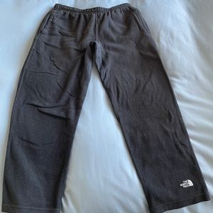The North face polartec fleece pants.